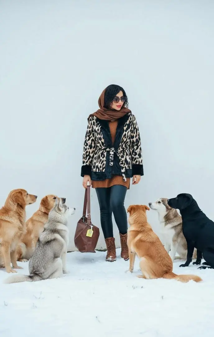 پالتو پلنگی